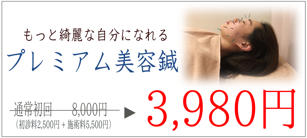 プレミアム美容鍼 料金表 こじま富雄団地接骨院